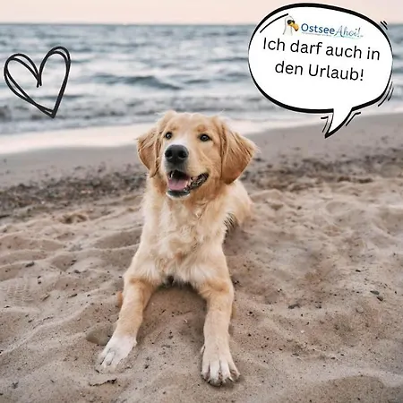 Kuestenliebe Von Ostseeahoi Lübeck